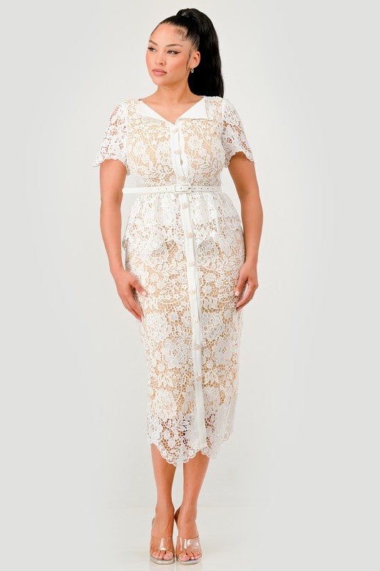 lure lace dress Cynthia Rowley Lure Lace Dress